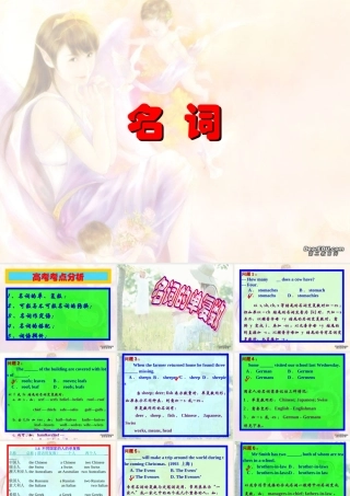 高考英语第二轮语法复习 名词 人教版 试题