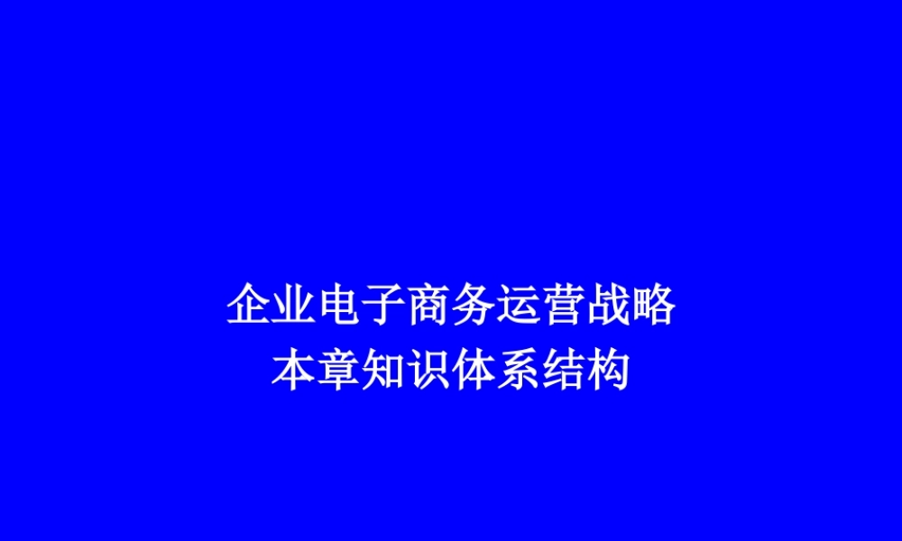 企业电子商务运营战略