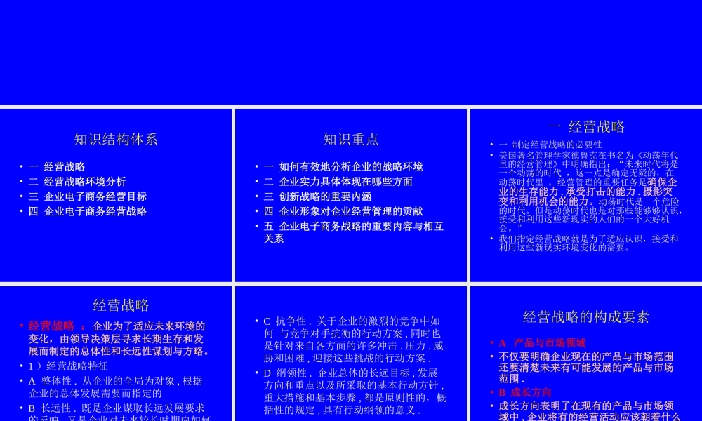 企业电子商务运营战略