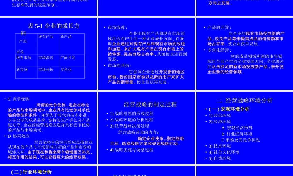 企业电子商务运营战略