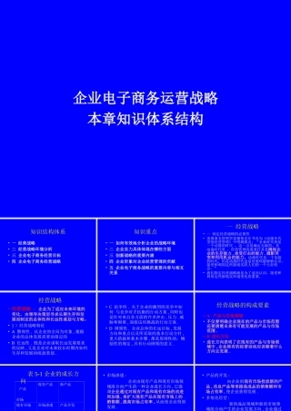 企业电子商务运营战略