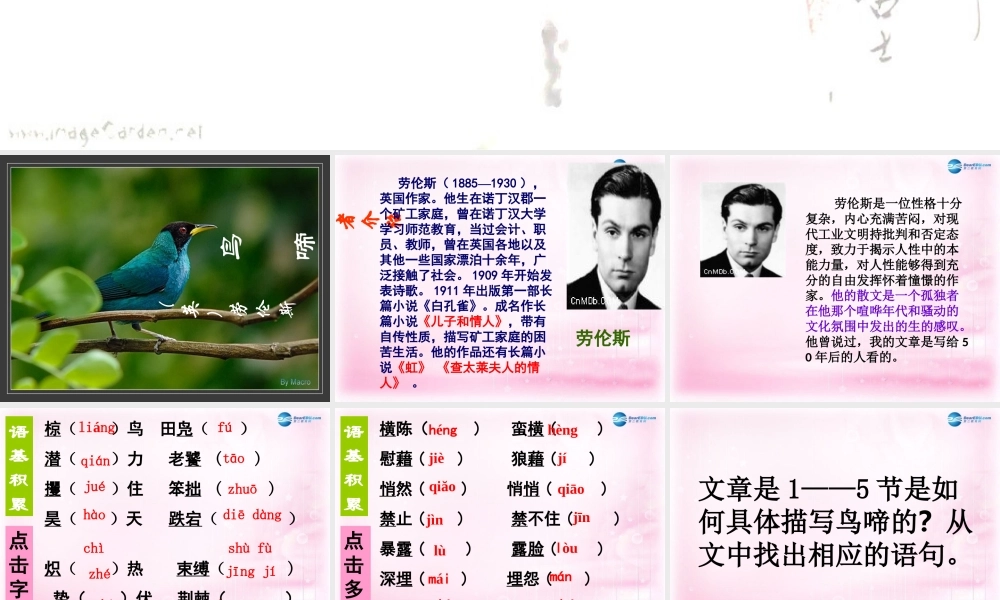 高中语文 第一专题 鸟啼课件 苏教版必修2 课件