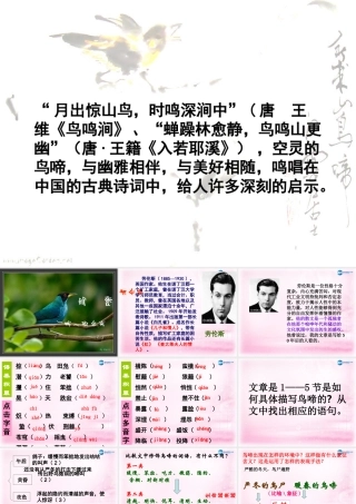 高中语文 第一专题 鸟啼课件 苏教版必修2 课件