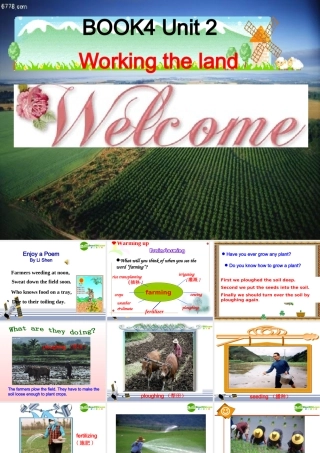 高中英语 Book4 Unit2 Reading课件 新人教版必修4 课件