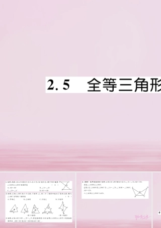秋八年级数学上册 第2章 三角形 2.5 全等三角形(4)练习课件 (新版)湘教版 课件