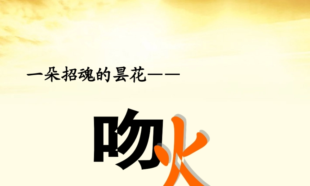 高中语文 (吻火)课2 新人教版选修(中国现代诗歌散文欣赏) 试题