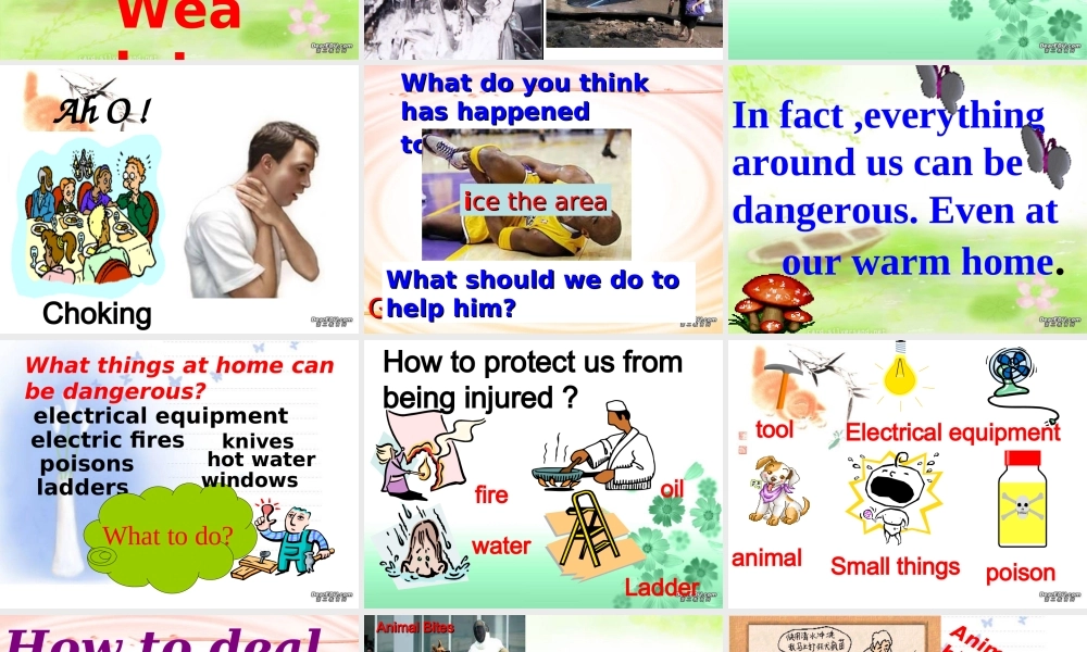 高二英语Unit8 Integrating skills课件 新课标 人教版 课件