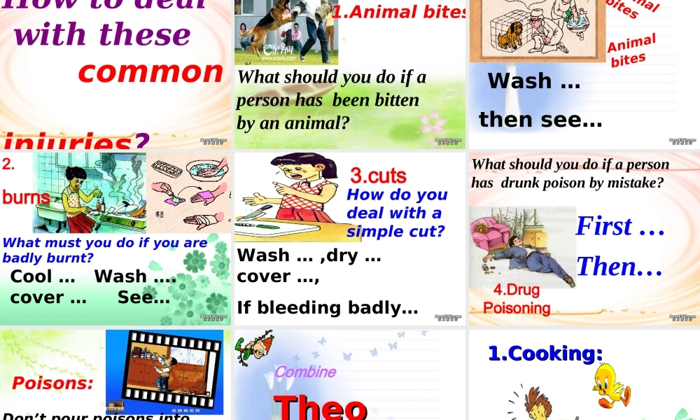 高二英语Unit8 Integrating skills课件 新课标 人教版 课件