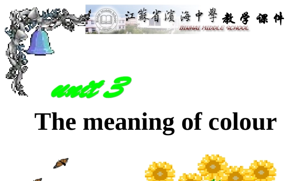 高中英语选修9 the meaning of colour课件