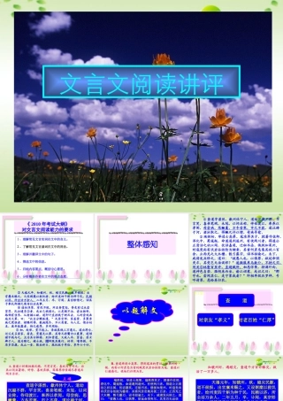 高考语文 文言文阅读讲评复习课件 新人教版 课件