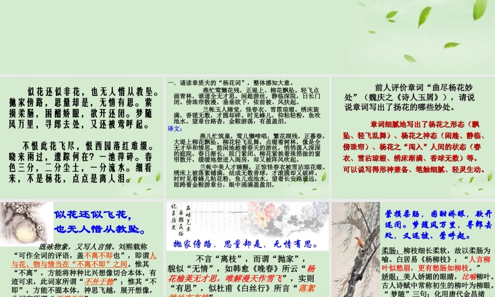 高中语文(水龙吟)(似花还似非花)教学课件 苏教版选修(唐诗宋词选读) 课件