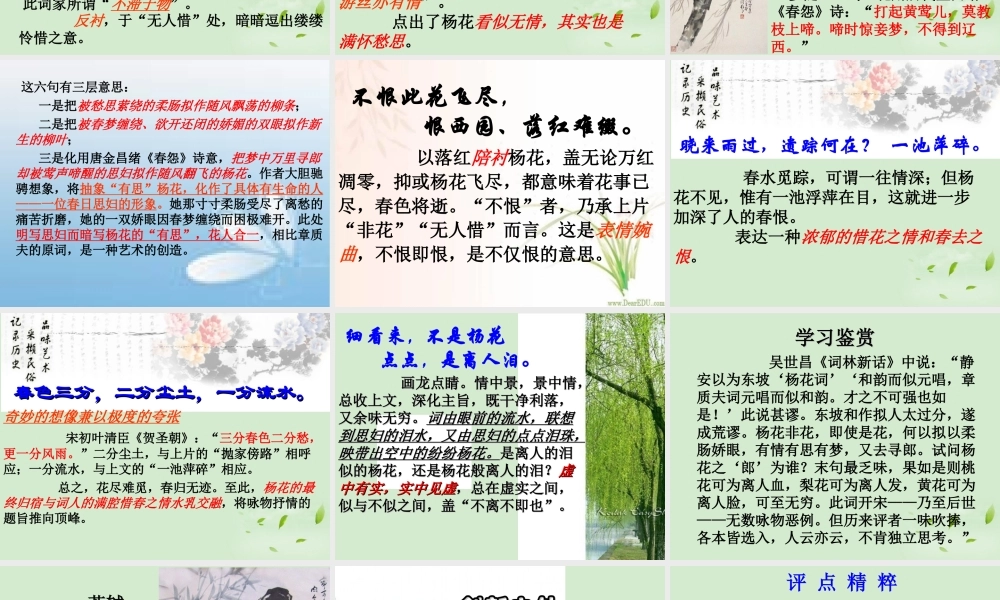 高中语文(水龙吟)(似花还似非花)教学课件 苏教版选修(唐诗宋词选读) 课件