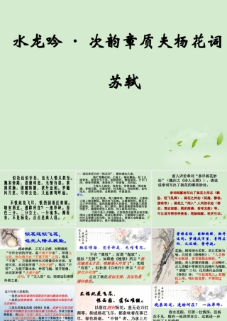 高中语文(水龙吟)(似花还似非花)教学课件 苏教版选修(唐诗宋词选读) 课件