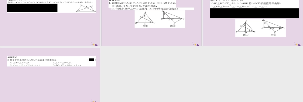秋八年级数学上册 第十一章 三角形 11.2 与三角形有关的角 11.2.1 第2课时 直角三角形的两个锐角互余练习课件 (新版)新人教版 课件