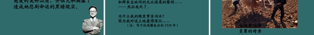高中语文 大堰河——我的保姆课件 新人教必修2 课件