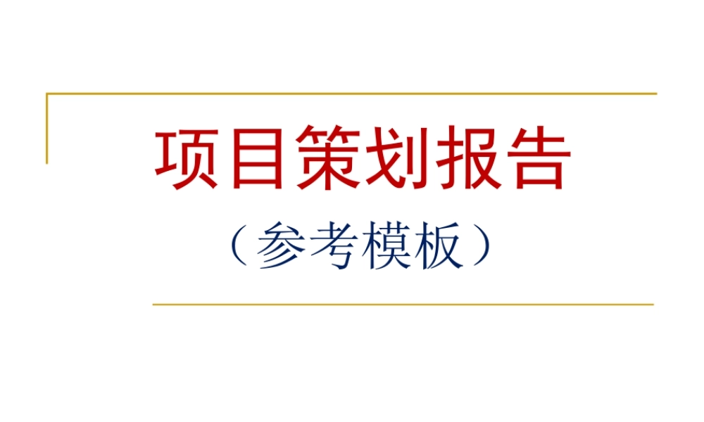 项目策划报告参考模板