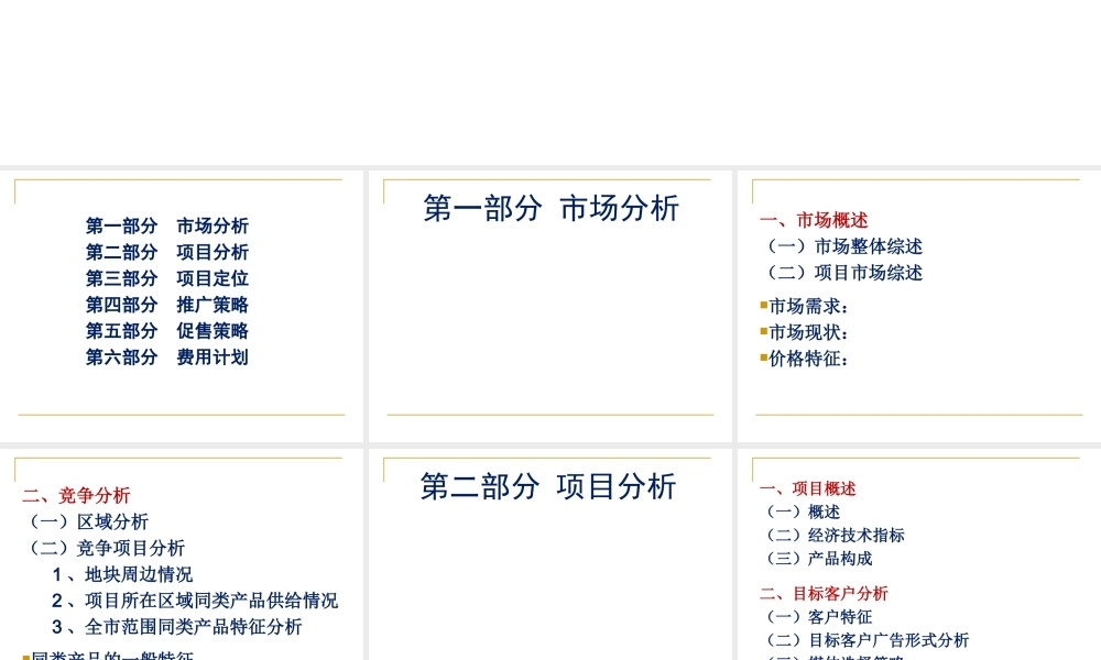 项目策划报告参考模板