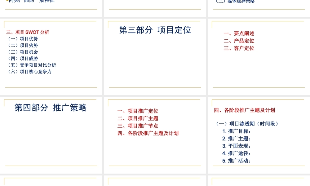 项目策划报告参考模板