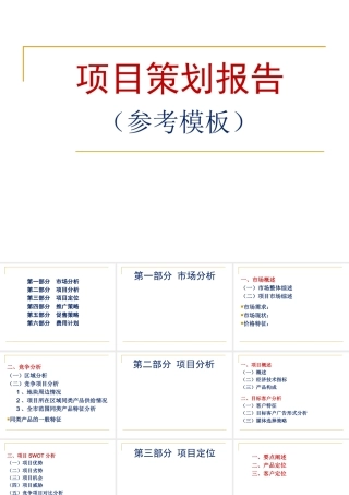 项目策划报告参考模板