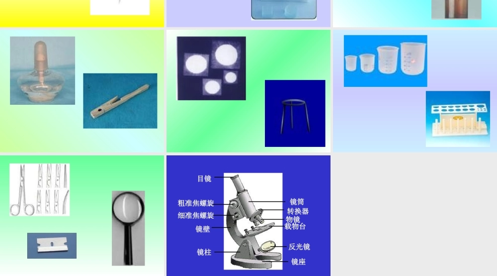 1、1、5科学探究的基本方法