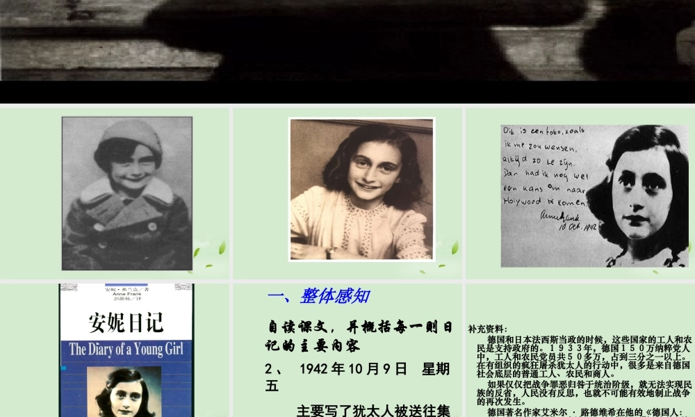 高中语文 2-2-1(安妮日记)课件 苏教版必修2 课件