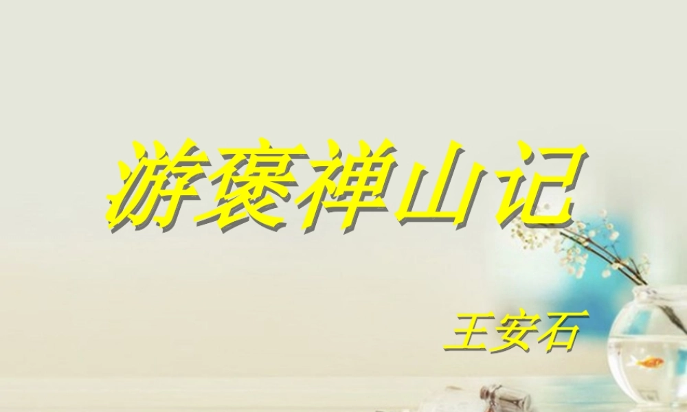 高中语文 游褒禅山记课件1 新人教版必修2 课件