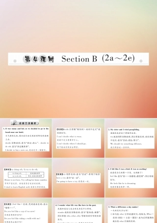 秋八年级英语上册 Unit 1 Where did you go on vacation(第4课时)Section B(2a 2e)习题课件 (新版)人教新目标版 课件