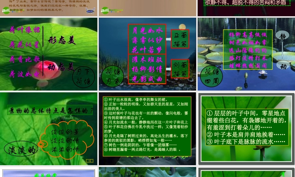 甘肃省语文多媒体教学优质课件：荷塘月色(三)高一 课件