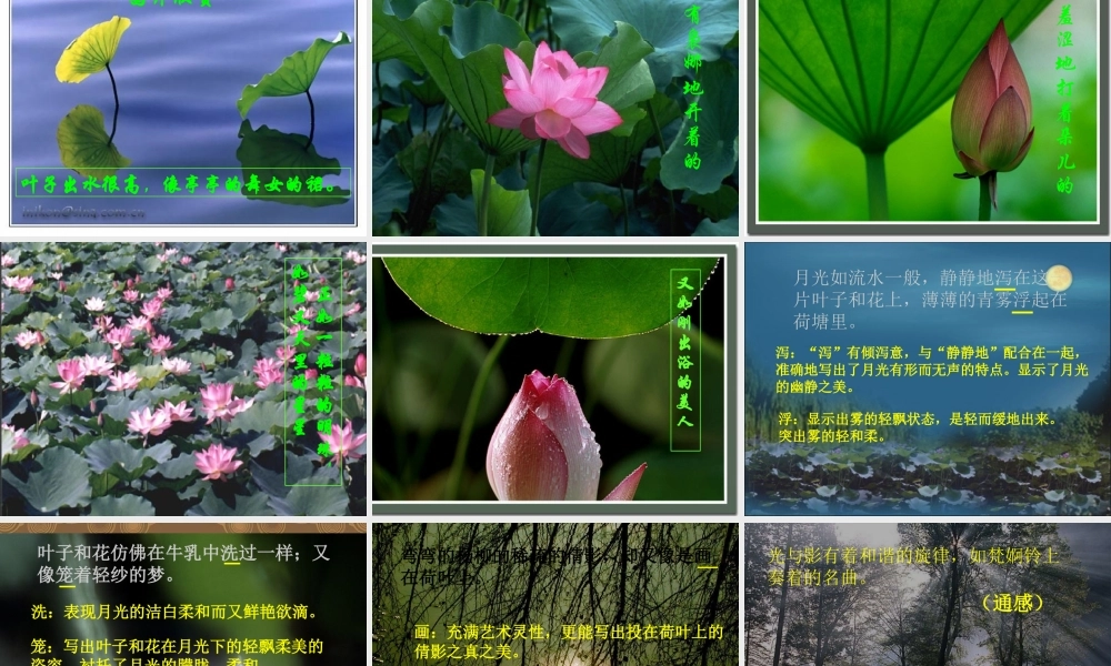 甘肃省语文多媒体教学优质课件：荷塘月色(三)高一 课件