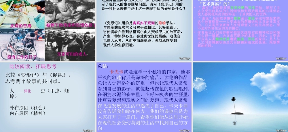 高中语文变形记课件2 人教版 课件