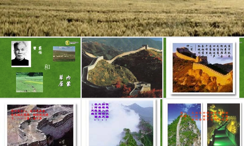 高三语文 内蒙访古1复习课件