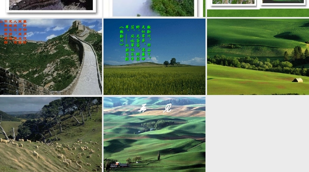 高三语文 内蒙访古1复习课件