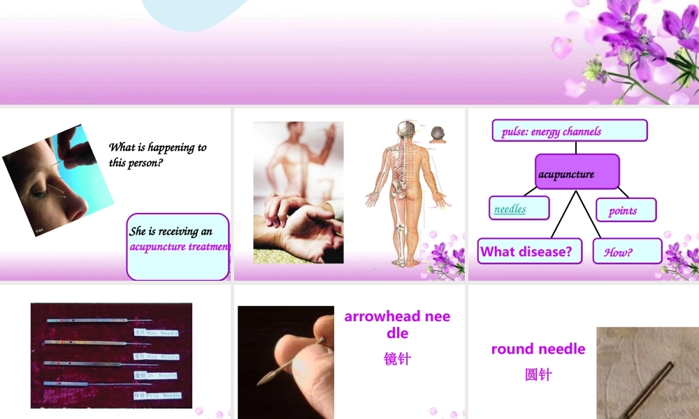 高中英语Module 7 Unit 2 Pooject课件选修7 课件