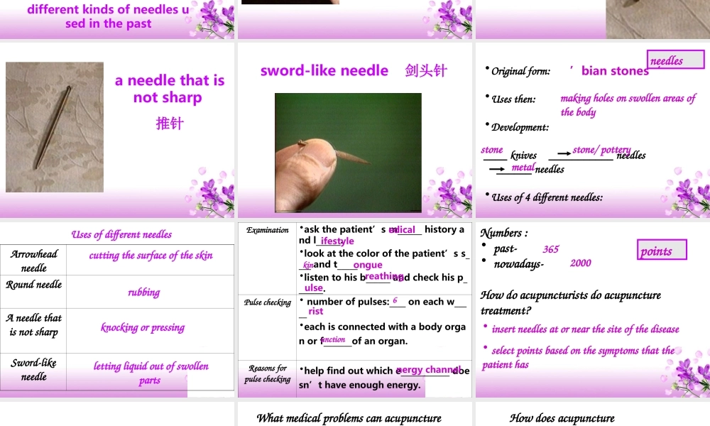 高中英语Module 7 Unit 2 Pooject课件选修7 课件