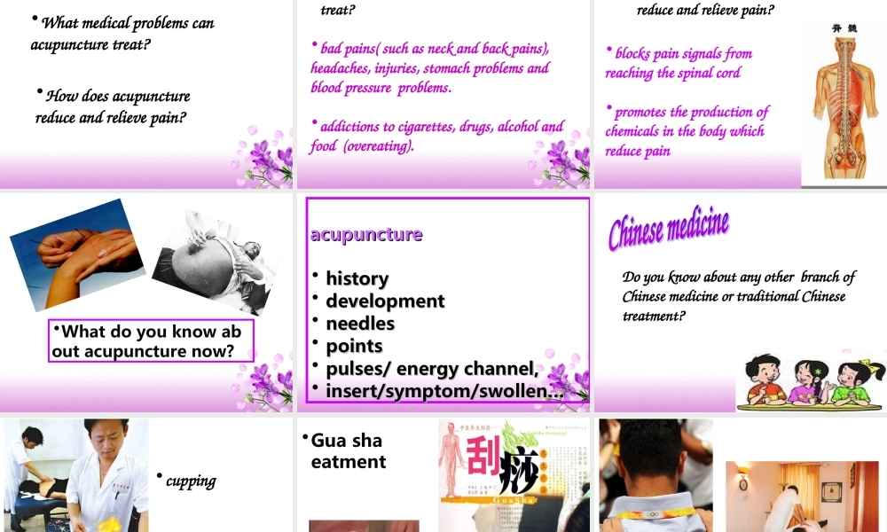 高中英语Module 7 Unit 2 Pooject课件选修7 课件