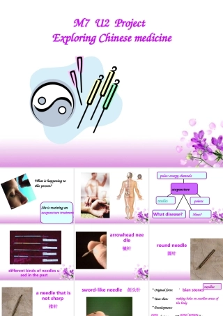 高中英语Module 7 Unit 2 Pooject课件选修7 课件