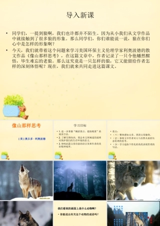 语文第四专题像山那样思考课件苏教版必修1 课件