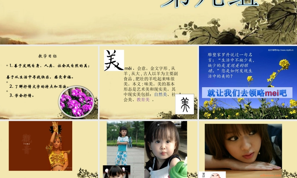 高中语文 (美的发现，学会抒情)课件 新人教版必修2 课件