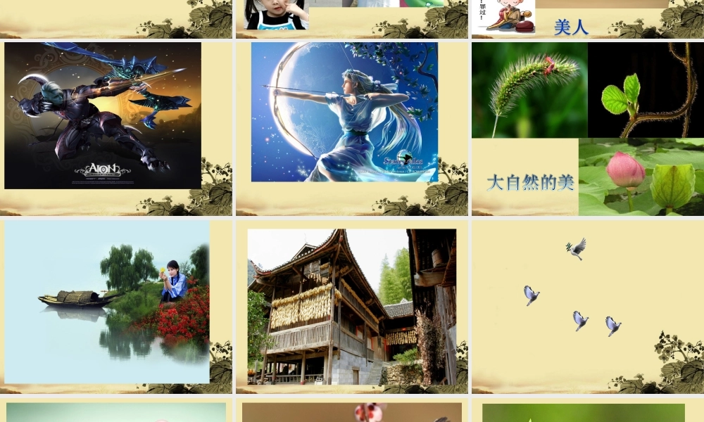 高中语文 (美的发现，学会抒情)课件 新人教版必修2 课件