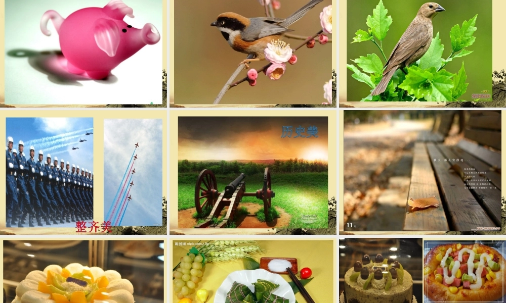 高中语文 (美的发现，学会抒情)课件 新人教版必修2 课件