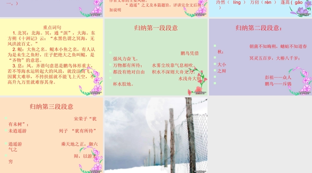 高二语文逍遥游(节选)课件示例二 课件