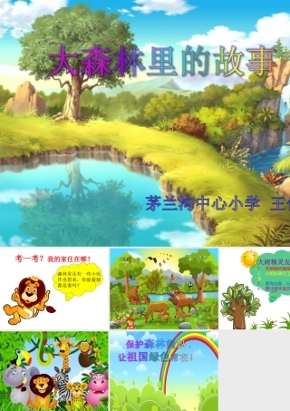 11.大森林里的故事