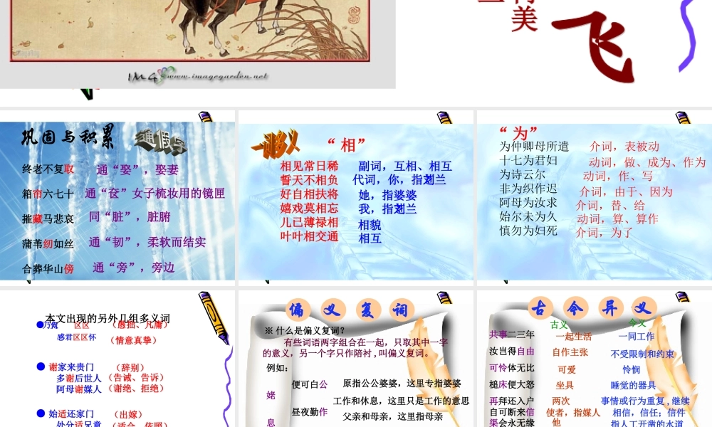 高中语文：416 孔雀东南飞(并序) 课件(3)(粤教版必修1) 课件