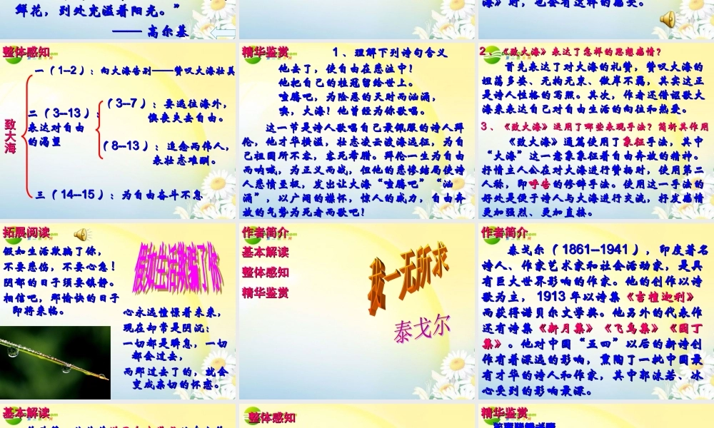 高中语文 第二单元之(外国诗歌四首)课件 粤教版必修2 课件