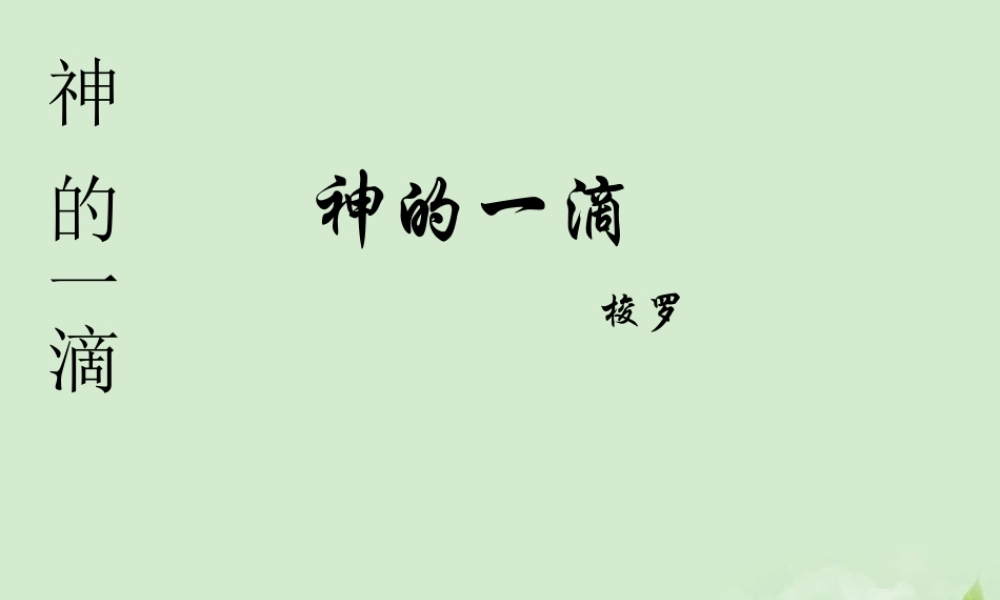 高中语文 (神的一滴)课件3 苏教版必修1 课件