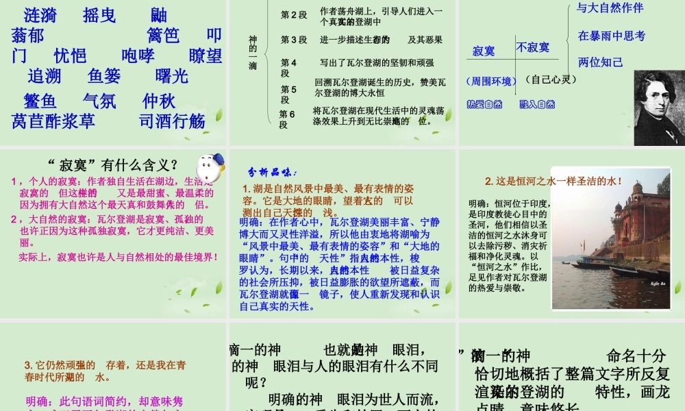 高中语文 (神的一滴)课件3 苏教版必修1 课件