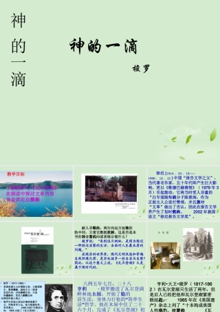 高中语文 (神的一滴)课件3 苏教版必修1 课件