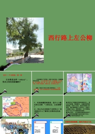 高中语文(西行路上左公柳)课件 北京版选修1 课件