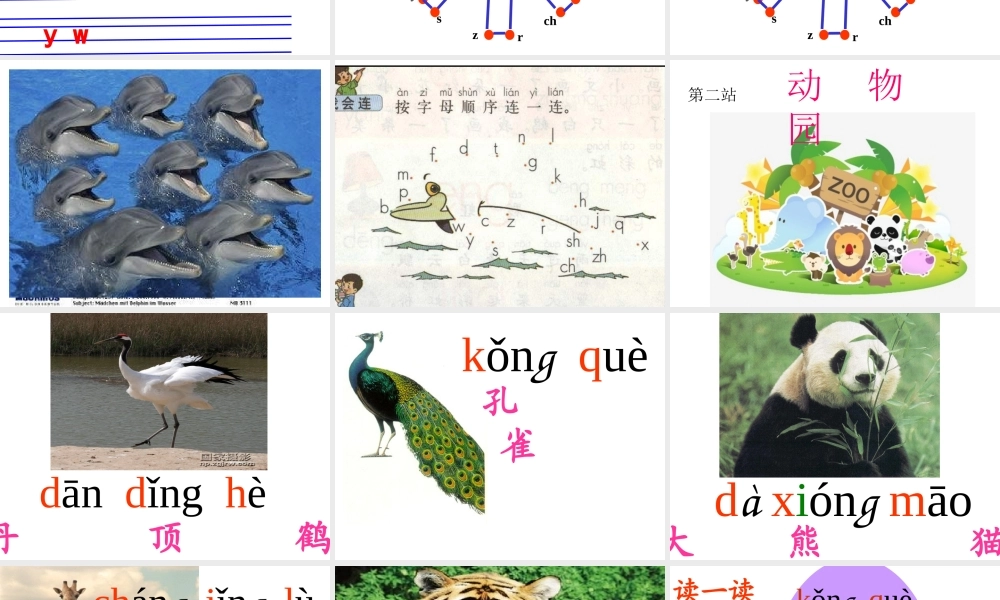 复习四公开课教学课件