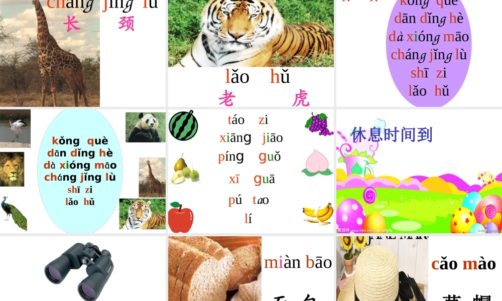 复习四公开课教学课件